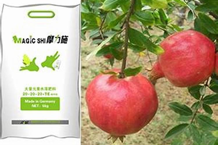 蔬菜专用叶面肥厂家现货供应？叶面肥怎么用效果好？