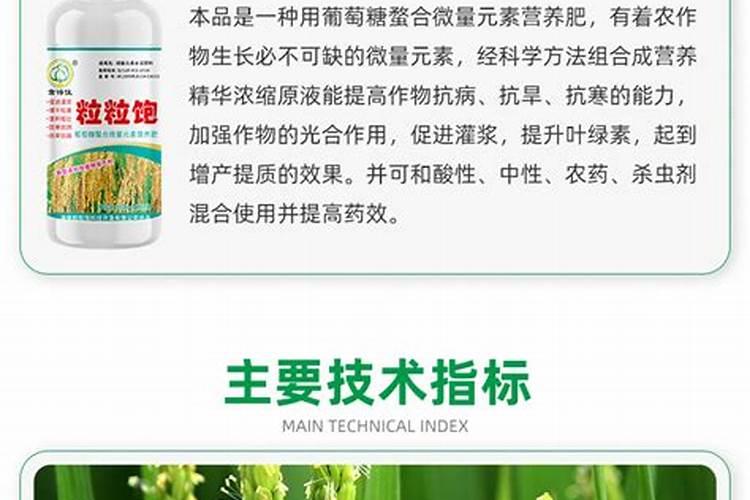 高粱专用肥配方