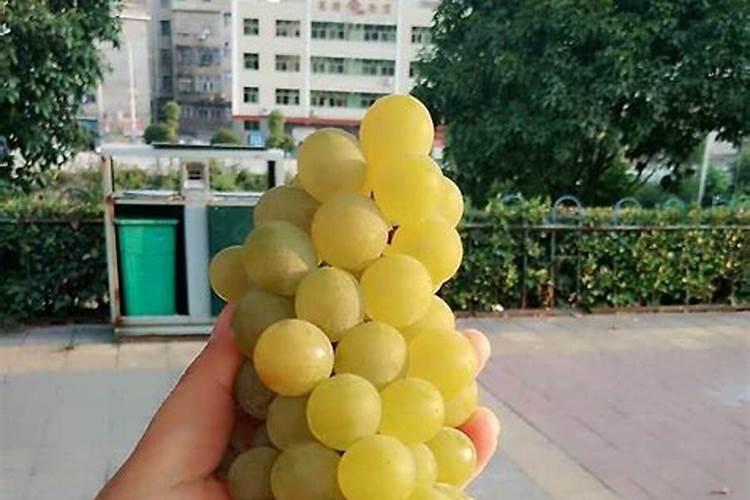 黄腐酸钾的成分都有哪些