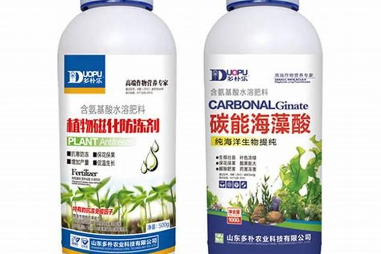 海藻的用途具体有什么？