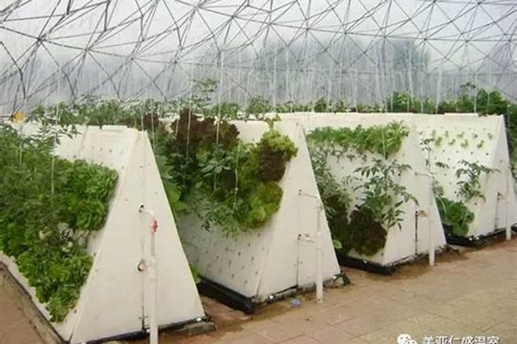 蔬菜无土栽培营养液的成本是多少？