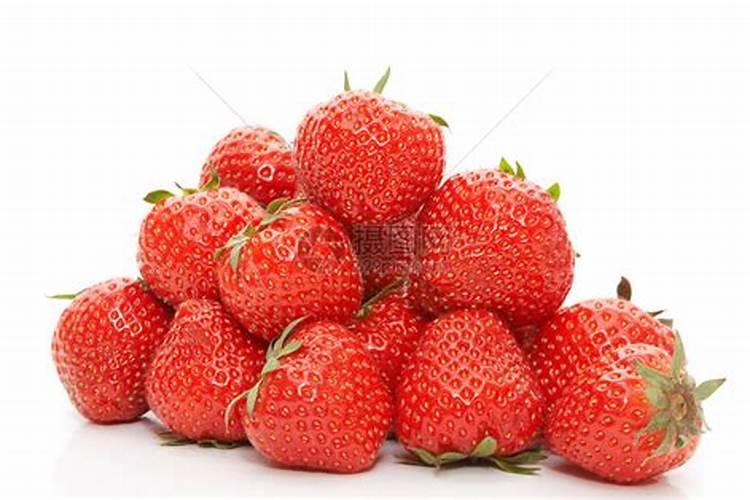 光合成细菌是什么？它有哪些用途？具有什么样功效和特点？