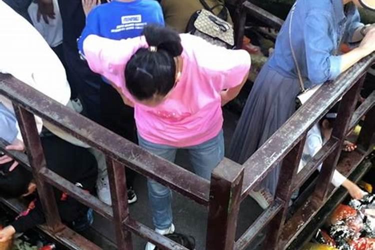 什么是鱼蛋白肥料,鱼蛋白肥料作用及使用方法