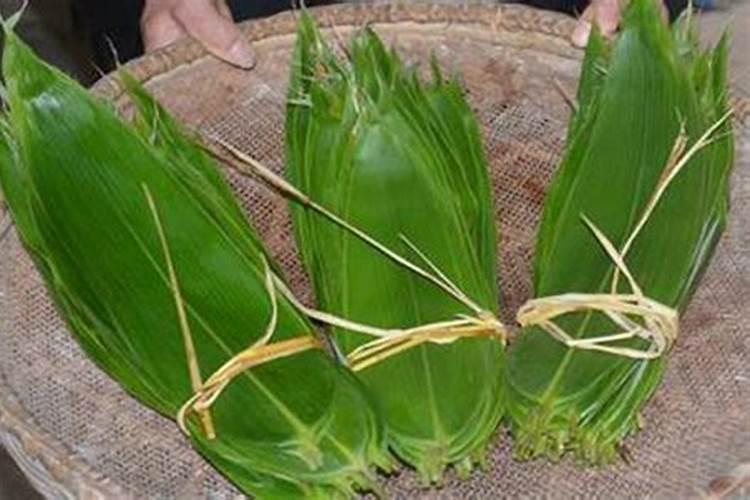 海藻手镯是什么材料