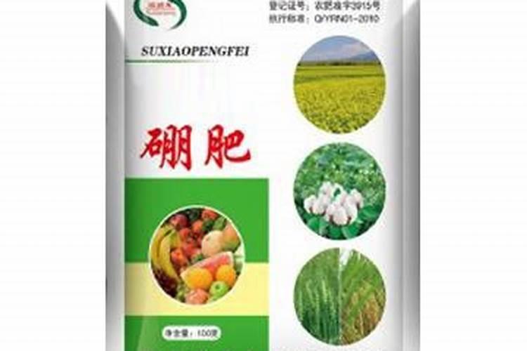 市场上有哪些磷肥？