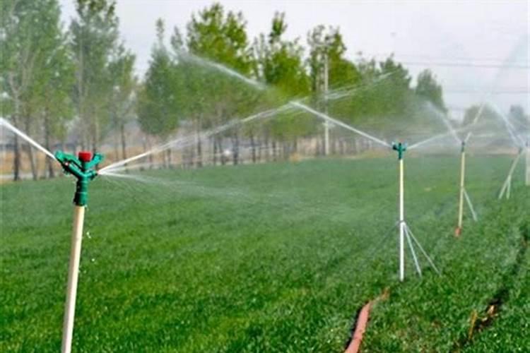 小麦返青能用水溶肥吗,水溶肥施用技巧