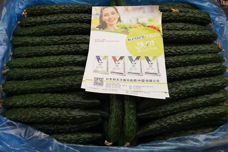 苹果叶面钙肥那品牌质量好？