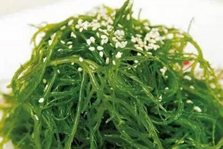 绿龙架豆什么时候种最合适 绿龙架豆的种植时间