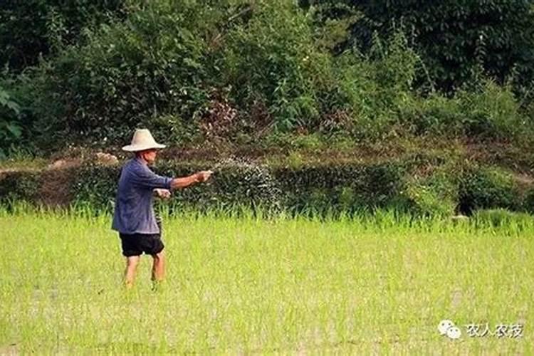 铵态氮肥、硝态氮肥、尿素的见效时间与肥效期各是多久？