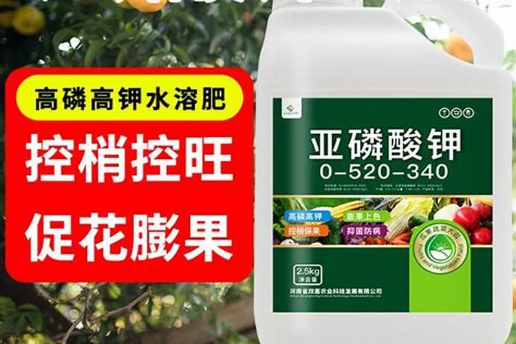 大豆田能用亚磷酸钾吗？都说亚磷酸钾不能在大豆上使用,为什么？