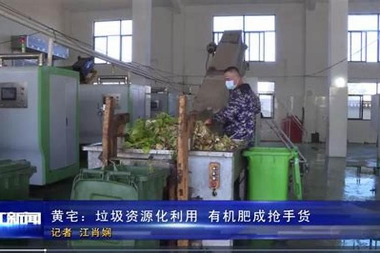 绿叶植物用什么肥料