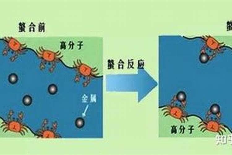 春天正在施肥不要买氮磷钾肥你可以自己在家做!