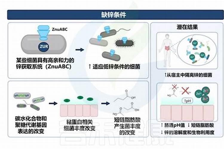 蔬菜施用锌肥一亩用多少,需要注意什么