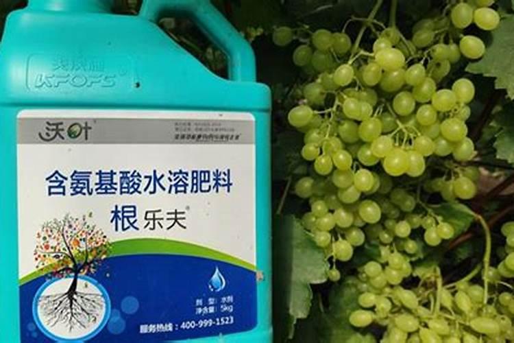 复合肥可以当水溶肥吗(复合肥能用水溶解后滴灌吗)