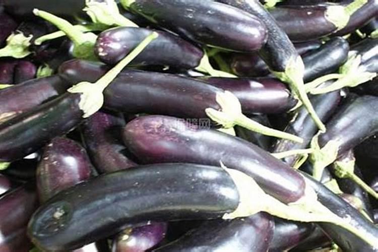 茄子膨果期用什么肥好？