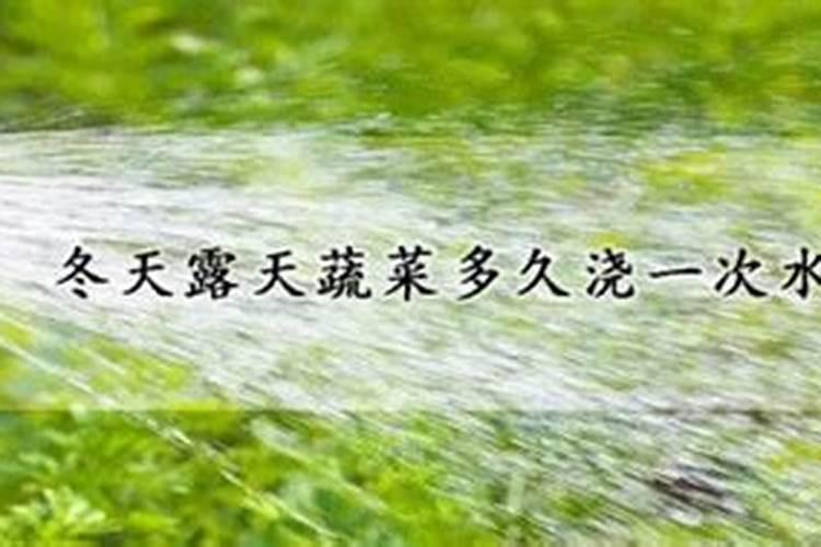 水稻氮肥过多如何补救 附症状