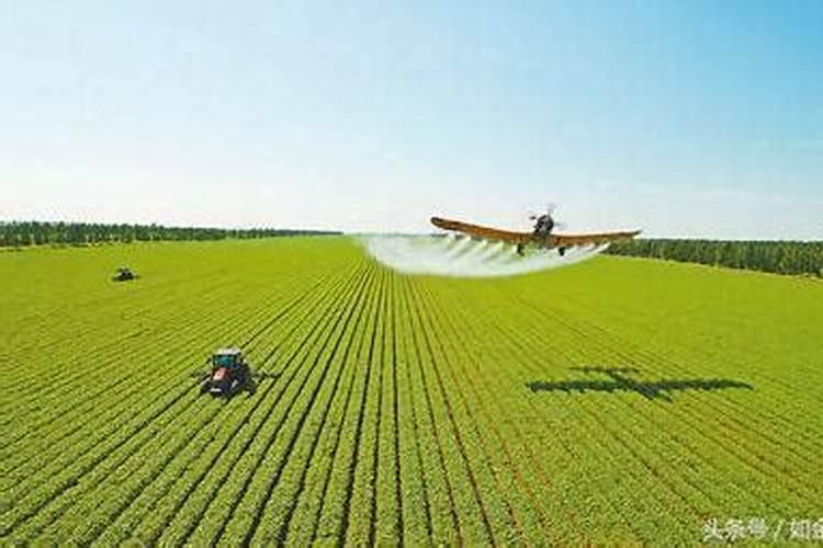 什么食物有助于睡眠