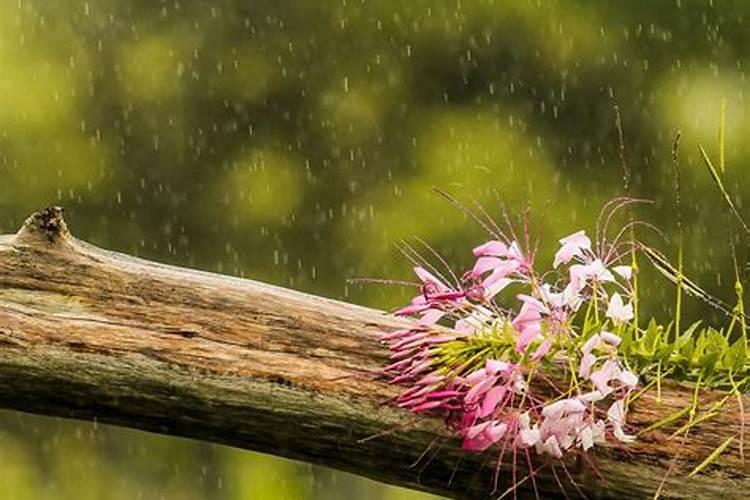 下雨以后,有太阳撒尿素会不会蒸发？