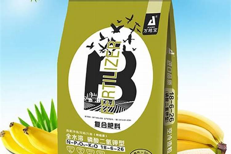 橙子树春季需要上什么肥料？