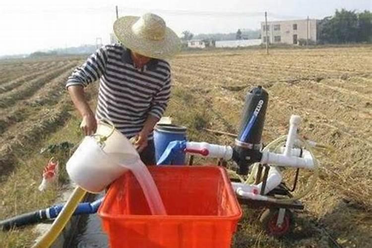 悬浮流体肥是什么肥料？悬浮流体肥有哪些优势？