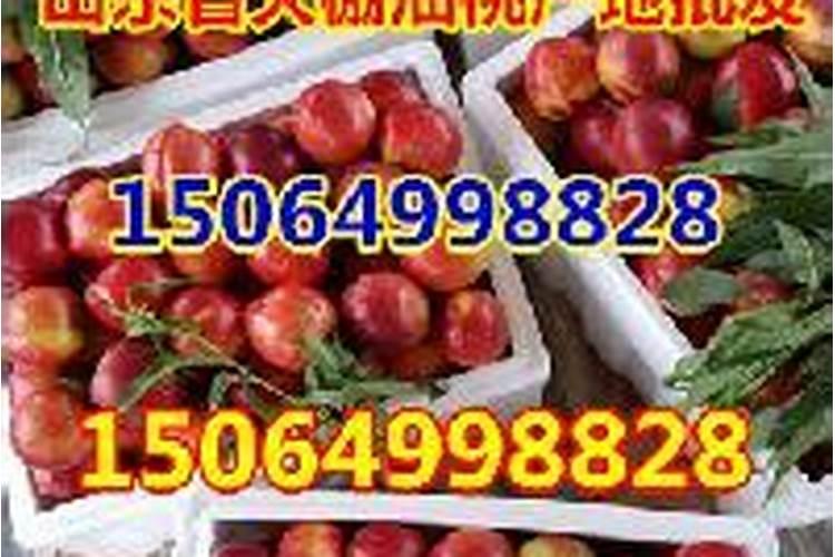 桃树只上粪肥不上化肥能高产吗？化肥会不会影响桃子的口感？