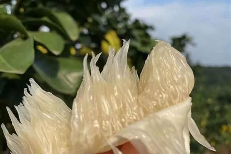 二硫碘化钾是什么意思？