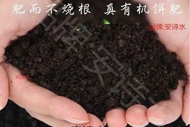 镁在葡萄树上的作用(镁肥在葡萄上什么时候用)