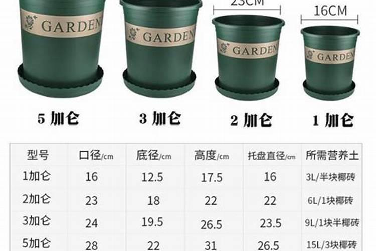 栀子花应该使用什么肥料？
