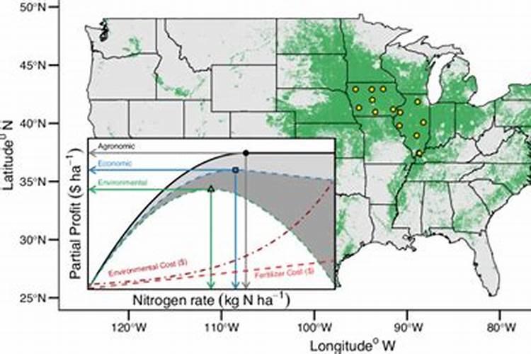 石榴树如何施肥 石榴施肥方法需要怎么办