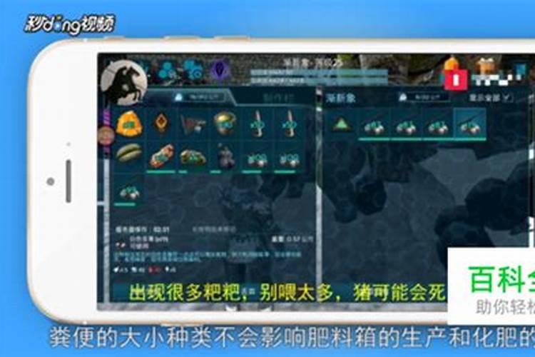 打什么营养液平菇叶片会增厚