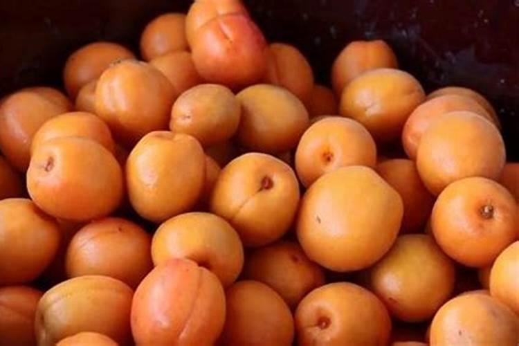 新疆农业用什么肥料性价比高？