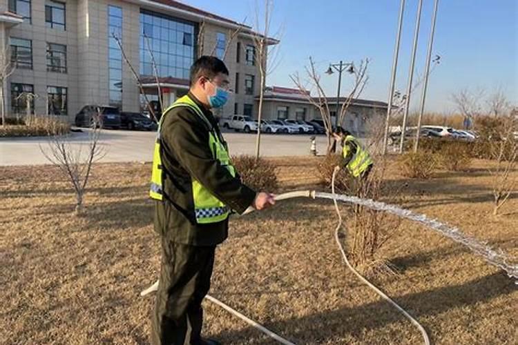 小麦返青肥用什么肥料好(小麦返青期追肥什么叶面肥好)