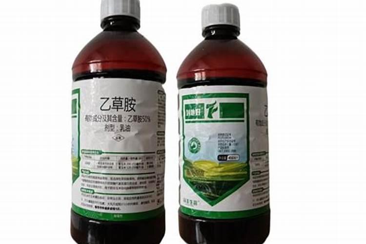 桂花树施什么肥好