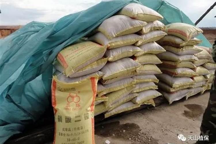 水培草莓多久浇一次水