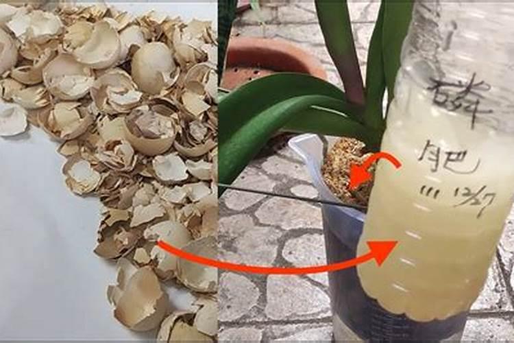 大蒜追肥用什么肥料好