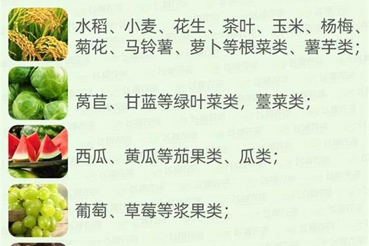 硫酸铵和尿素哪种好