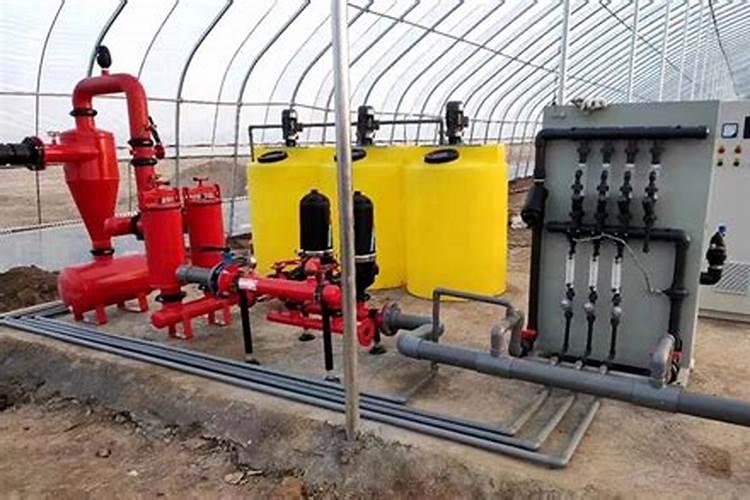 阳台种无花果怎样施肥