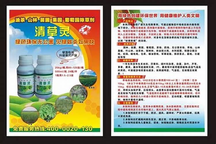 油茶树保花保果药什么时候打？