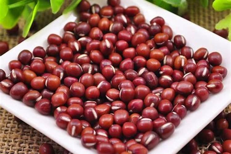 红小豆什么时候种