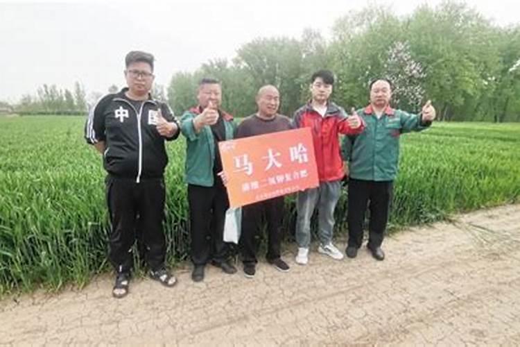 马大哈复合肥是名牌吗