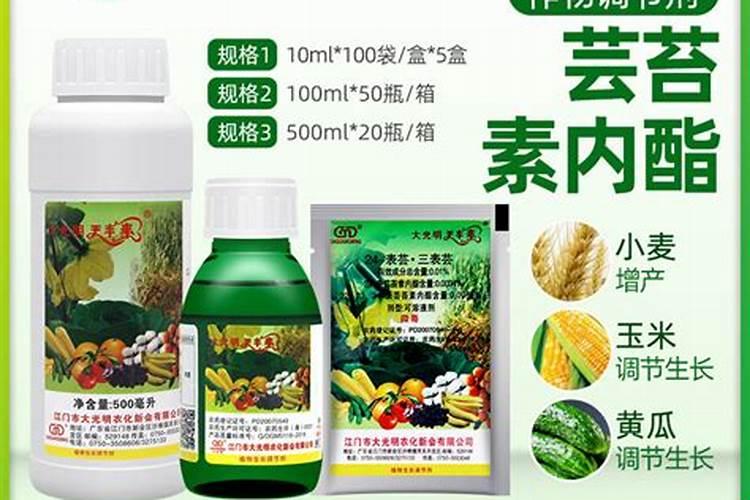 玉米几叶能用芸苔素,芸苔素多久喷一次