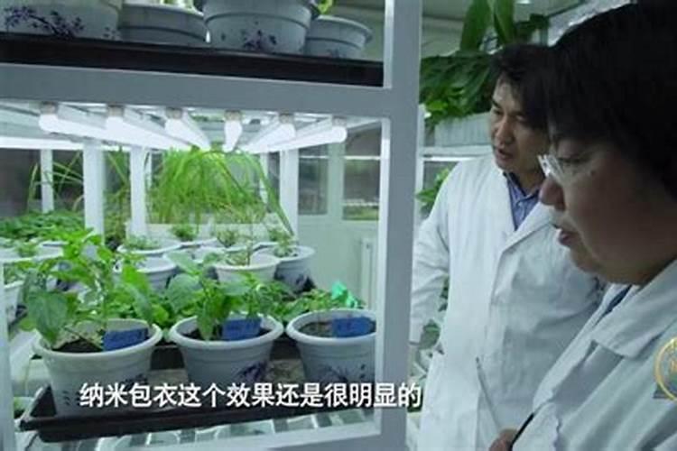 控释肥和缓释肥的区别