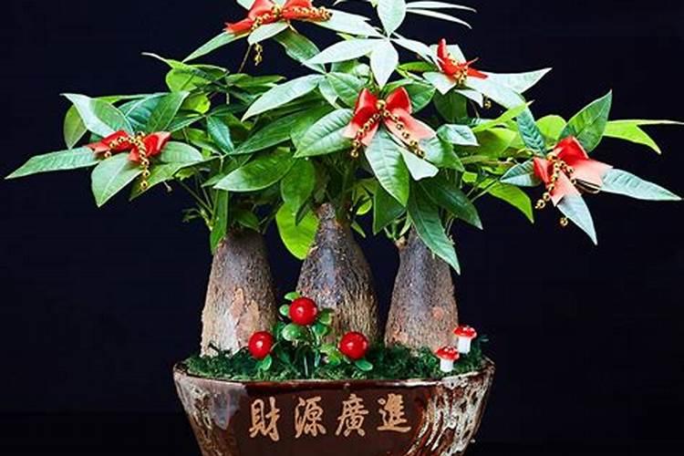 我们常吃的蔬菜,所使用的部分,哪些是根,哪些是茎,哪些是叶,哪些是花...