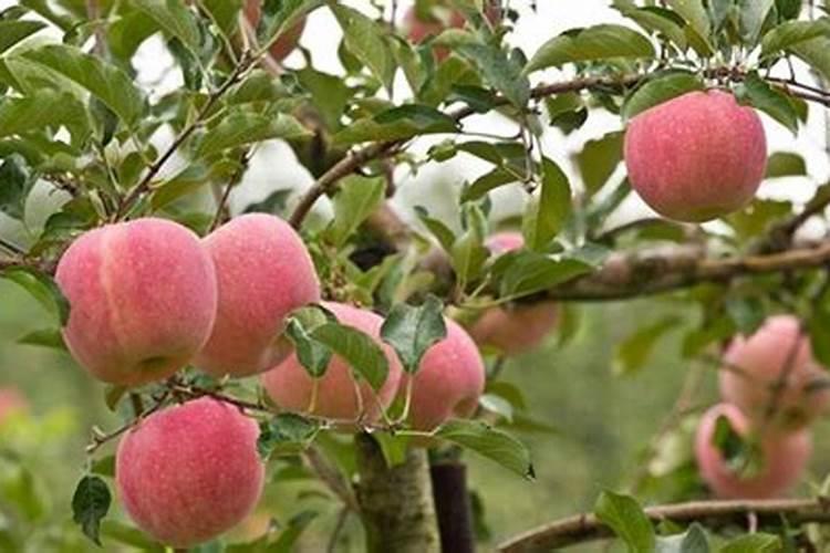 昆阳磷肥厂坐公交车到长水机场怎么坐车