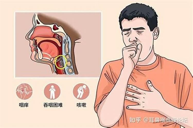 姜母 生姜 小黄姜,黄姜,有啥区别？谢谢