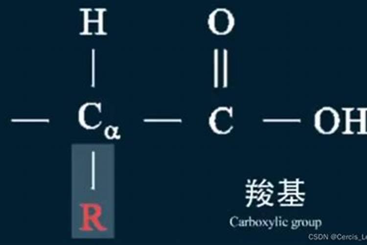 兰花夏天高温兰菌王能施吗