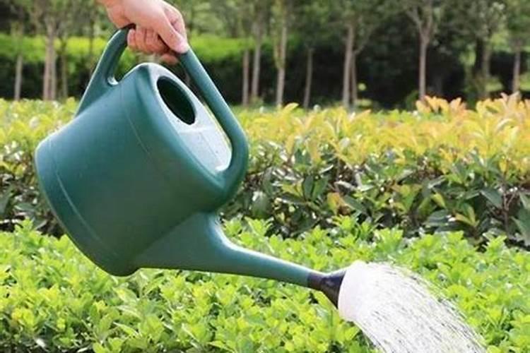 尿能不能当氮磷钾复合肥