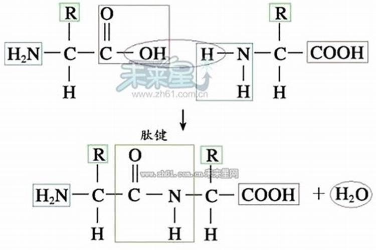 酰铵钛氮肥是什么？
