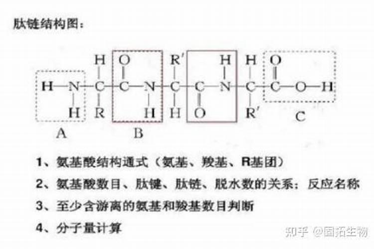 玉米涝了以后用肥料好还是打液体氮肥好？