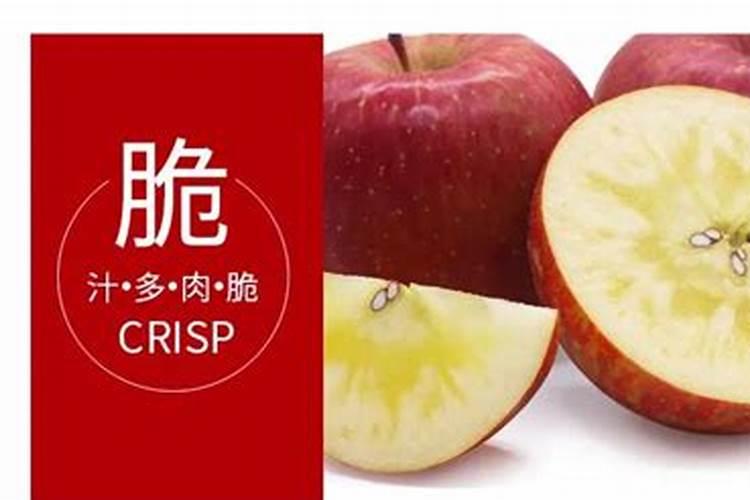 云南水稻种植历史